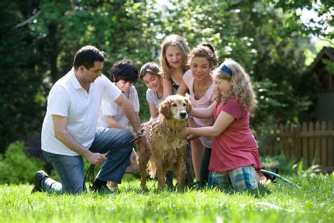 Familienhunde Die Besten Hunderassen Für Familien