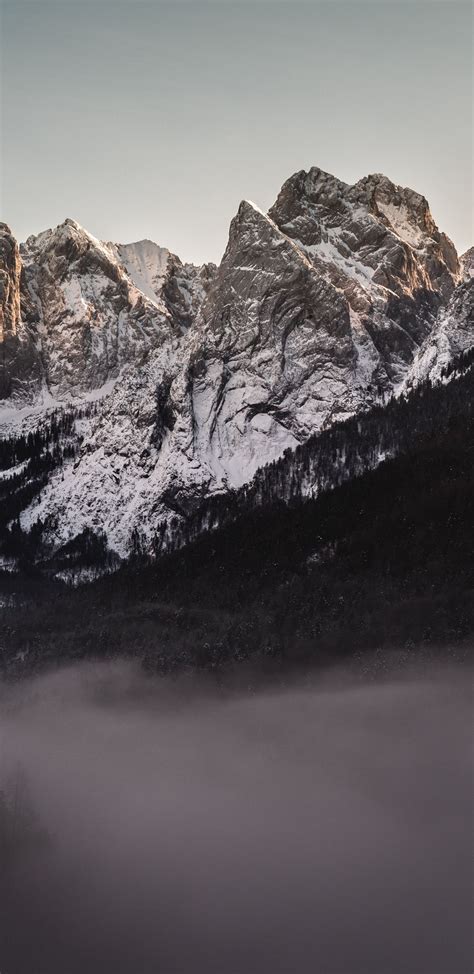 1440x2960 Forest Valley Fog Mountains Wallpaper Mountain Wallpaper