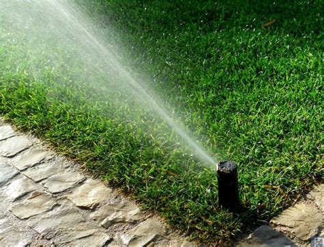 The benefits of watering your lawns. DIY Lawn Sprinkler System