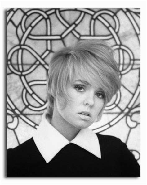 Ss2263547 Movie Picture Of Joey Heatherton Buy Celebrity Photos And