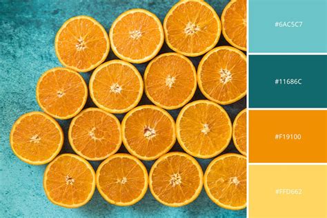Complementary Colors Photography Tips In 2021 Color Photography
