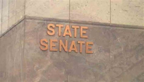 Senate Flexes Muscle Hires Firm To Conduct Comprehensive Audit Of