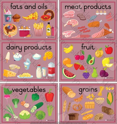 Food Groups And Food Pyramid • Teacha