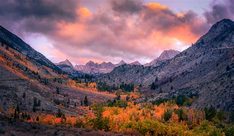 Time Your Trips To These Bishop Events California Fall Color