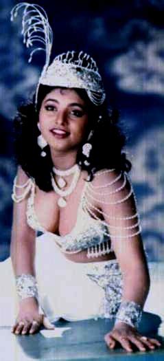 Tamil Hot Hits Actress Roja Hot Photos