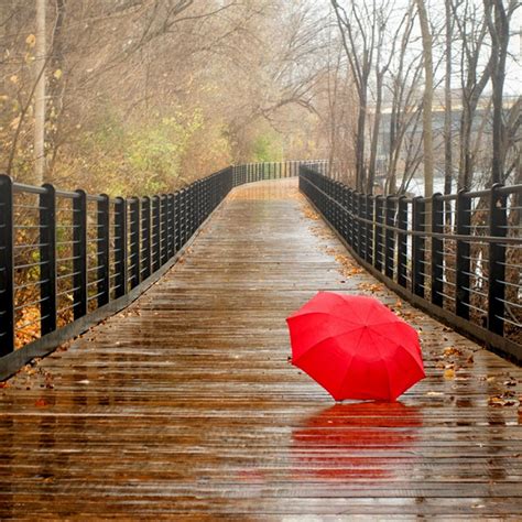 Red Umbrella On The Bridge Rainy Day Wallpaper Download