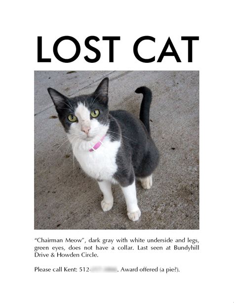 Lost cat posters + join group. 7 Tips for Finding Your Lost Cat - iHeartCats.com