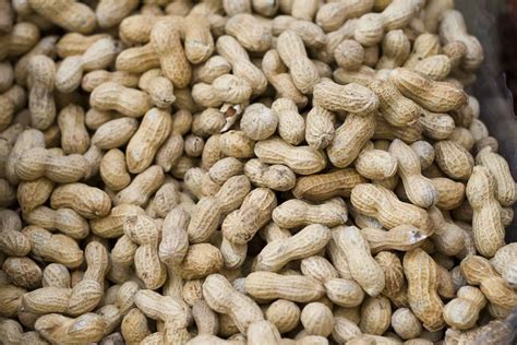 Wholesale Peanuts In Iowa Hewett Wholesale