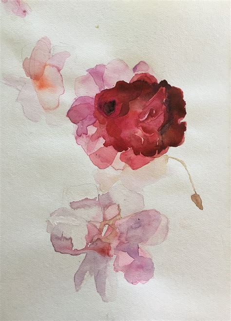 Eclipse Ranunculus 2019 Watercolor Painting 12 X 16 Ranunculus