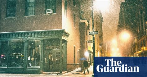 New York In The Snow By Vivienne Gucwa In Pictures Cities The