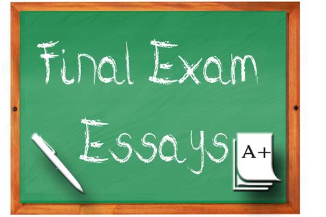 Ctet previous year question paper pdfs are the best resources to get acquainted with past trends and boost your efficiency. How to Prepare for a Final Exam Essay | HubPages