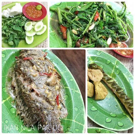 Misalnya masuk hewan atau ikan lain, untuk mencegahnya, anda. Favorit Saya Ikan Nila Goreng Saus Telur Asin - Review Chibiy Chibiy di restoran Ikan Nila Pak ...