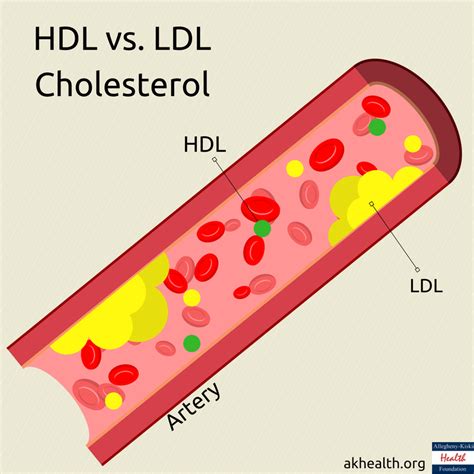 Whats The Difference Between Good And Bad Cholesterol And How To