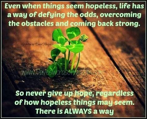 Even When Things Seem Hopeless Hopeless Never Give Up Inspiring
