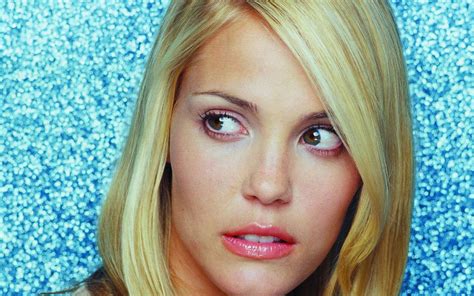 Leslie Bibb Wallpapers High Quality Download Free