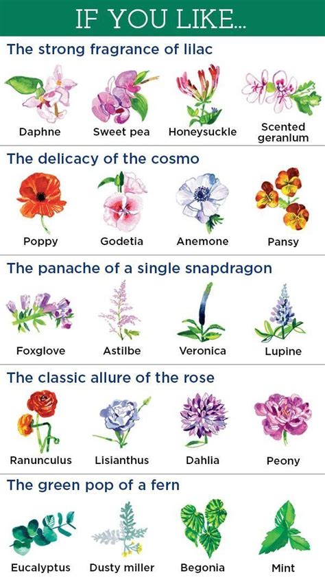 20 Flowers Youll Love Based On Your Favorites 1000 Flower Names