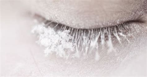 Snowflakes That Stay On My Nose And Eyelashes My Favorite Things