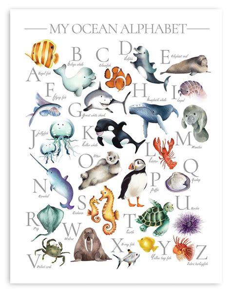 Ocean Sea Animal Alphabet Print Ocean Alphabet Abc Poster Alphabet