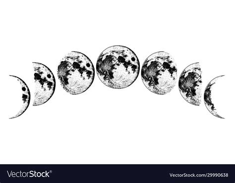 Moon Phases Planets In Solar System Astrology Vector Image