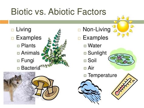 Science Rocks Biotic And Abiotic Factors