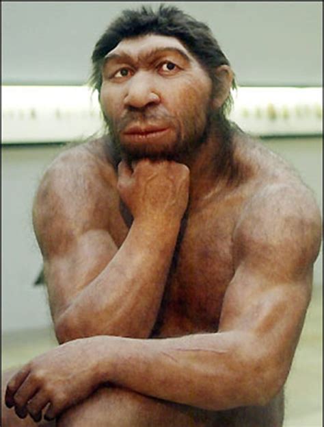 The Neanderthal Nose Enigma Why So Big