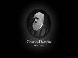 Charles Darwin Theory Evolution Images