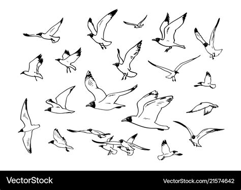 Sketch Of Flying Seagulls Hand Drawn Royalty Free Vector