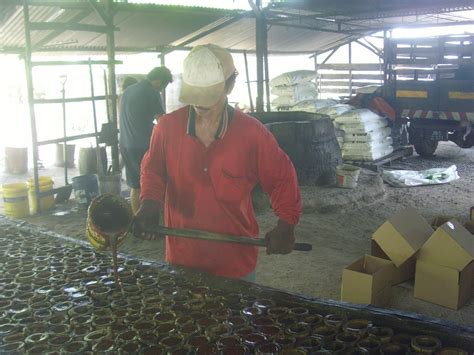 Distrik batu pahat didalam peta. LEBAH DAN KELULUT: KILANG MEMPROSES GULA DI SEMERAH BATU ...