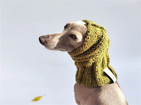 Woollen Dog Snood Various Colours Dog Neck Warmer Etsy