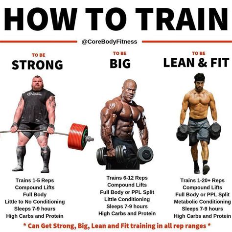 10 Rules For Building Muscles On Bulking Phase - GymGuider.com | Gym