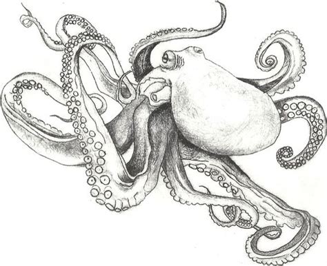 Octopus Doodle 2 Colorful Fish Sculpture Gravure Art Inspo Artsy