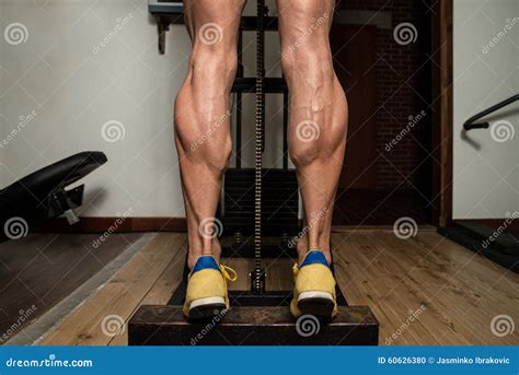 Exercise For Legs Calves Stock Photo Image Of Muscles 60626380