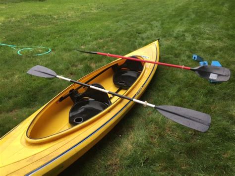 I took one of my dogs kayaking in the boat with me this evening and it was a fabulous experience. Aquaterra Perception Keowee 2-Person Kayak for sale from ...