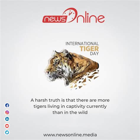 International tiger day poster drawing easy. International Tiger Day 2020, Images, Quotes, Wishes ...