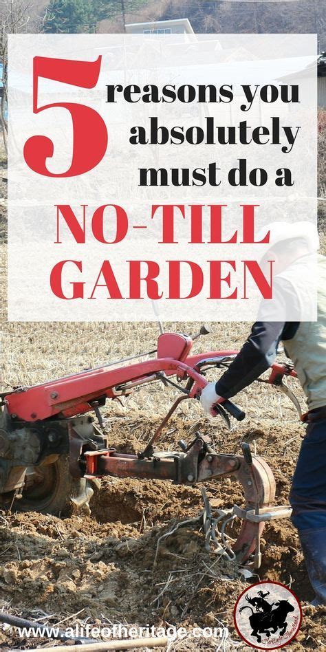 Why You Absolutely Must Do No Till Gardening Transform