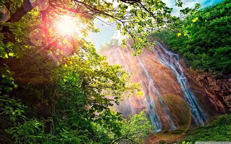 Forest Waterfall World Most Famous Waterfall Landscape Hd Wallpaper