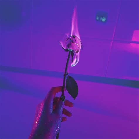 The list is by no means complete, so if you cannot find a particular aesthetic on this list, feel free to write a short article and add it here. Pin on Purpleness