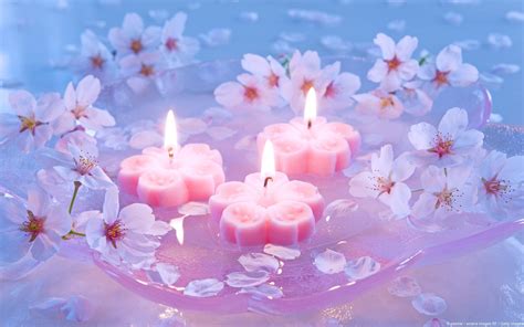 Pink Candles Wallpapers Top Free Pink Candles Backgrounds