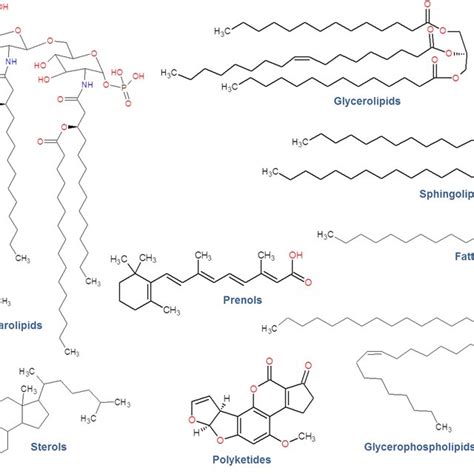 Example Structures For The Eight Lipid Categories As Defined By The