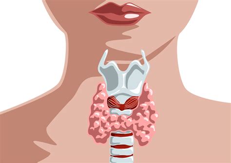 10 Signs You Have A Thyroid Problem And How To Deal With It Women