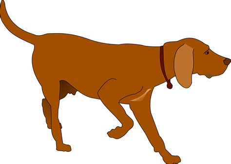 Free Dog Png Download Free Dog Png Png Images Free Cliparts On