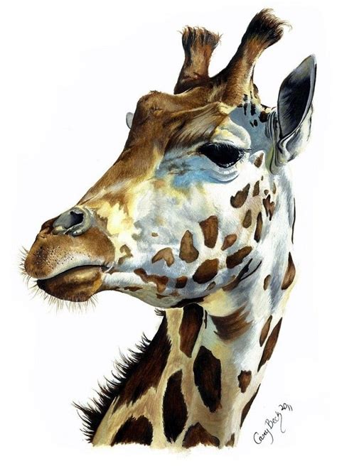 They can be seen in museums in paris and london and the two white stripes of fur from the ears to the snout are really pretty. 207 best African Animal Art images on Pinterest | Animal paintings, Animal pictures and Wildlife art