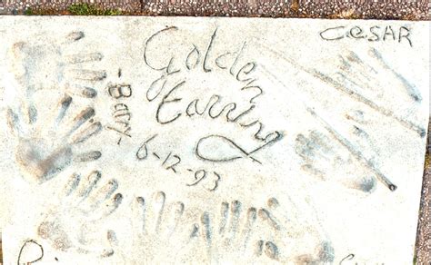 He is best known for his work with the dutch group golden earring. Golden Earring | Walk of Fame