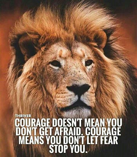 Fear Is A Reaction Courage Is A Decision Lion Draw Metro