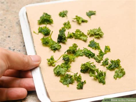 Pick out the woody bits of stem and separate the tender leaves and chop the parsley into 1/4 pieces. 3 Ways to Dry Parsley - wikiHow