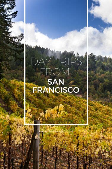 9 Best Day Trips From San Francisco For Families California Travel