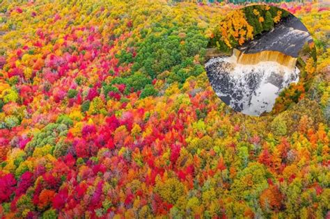 See Northern Michigans Amazing Fall Colors From A Drone