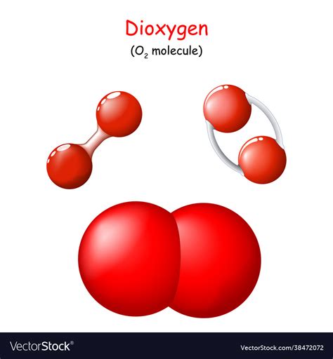Oxygen Structural Chemical Formula Dioxygen O2 Vector Image