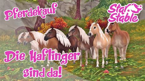Star Stable Sso Pferdekauf Der Neue Süße Haflinger Youtube