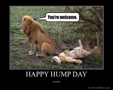 35 Dirty Hump Day Meme Photos Pictures Graphics And Images Picsmine